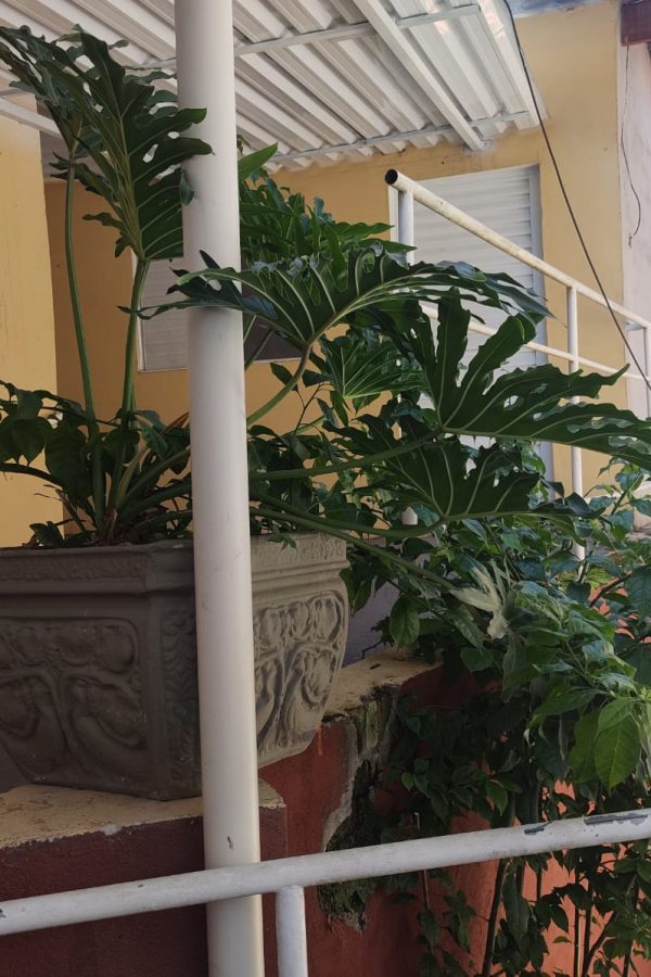 Agape Residencial_Casa_de_repouso_para_idosos20